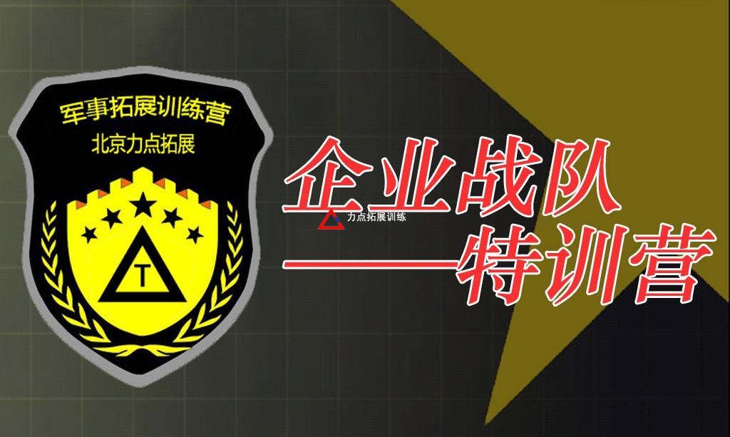 企業(yè)戰(zhàn)隊(duì)特訓(xùn)營(yíng)